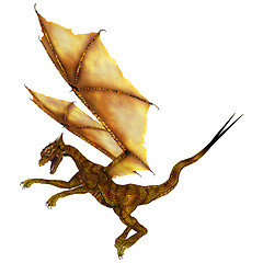 Image showing Golden Dragon
