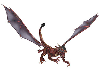 Image showing Little Dragon