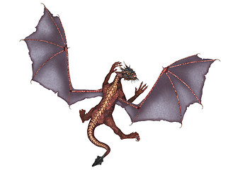 Image showing Little Dragon