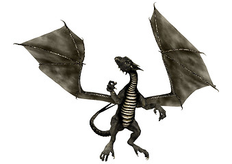 Image showing Black Dragon