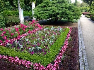 Image showing park in spring time