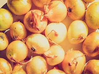 Image showing Retro look Onions picture