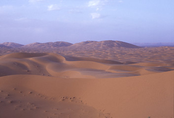 Image showing Sahara desert