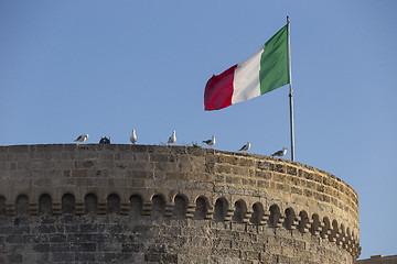 Image showing Seagulls standing near Italian flag
