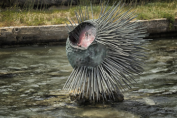 Image showing Monument to the sea urchin in Gallipoli (Le)