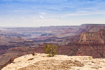 Image showing Grand Canyon