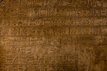 Image showing Hieroglyph