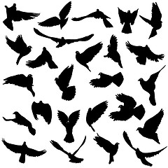 Image showing Concept of love or peace. Set of silhouettes of doves. Vector il