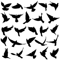 Image showing Concept of love or peace. Set of silhouettes of doves. Vector il
