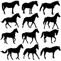 Image showing Set vector silhouette of horse