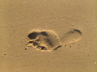 Image showing Footprint on sand