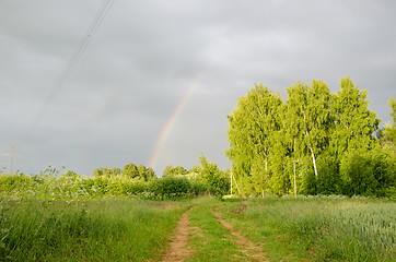 Image showing rainbow after rain over green tree and rural path  