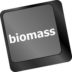 Image showing Keyboard keys with biomass word button