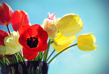 Image showing Bouquet of colorful tulips