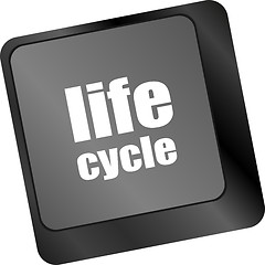 Image showing life cycle on laptop keyboard key