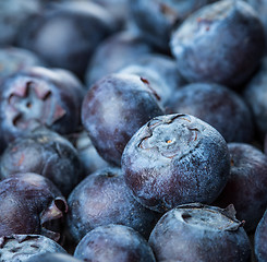 Image showing Blueberries background