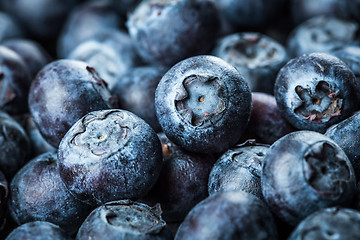 Image showing Blueberries background