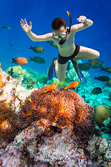 Image showing Snorkeler Maldives Indian Ocean coral reef.