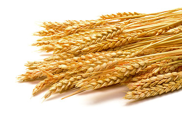 Image showing Sheaf Golden Wheat Ears