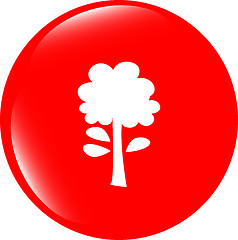 Image showing Tree icon on round button collection original illustration