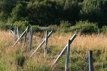 Image showing old woden fences