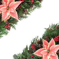 Image showing Poinsettia Border