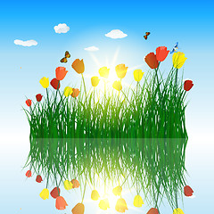 Image showing Tulips in grass with reflection in water