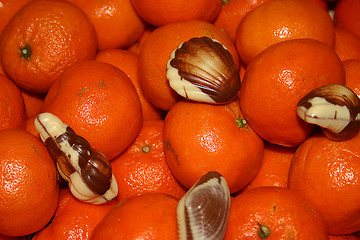 Image showing mandarin