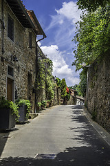 Image showing Vintage italian houses with flowers