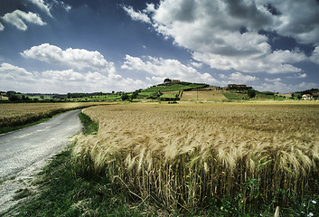 Image showing Cereal crops and farm in Tuscany