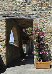 Image showing Vintage italian houses with flowers