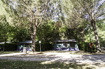 Image showing Tent on campsite