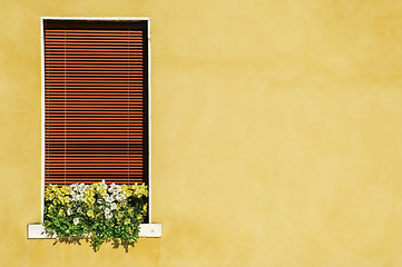 Image showing Venetian windows with flowers