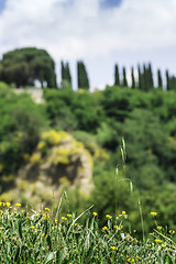 Image showing Tuscany landscape