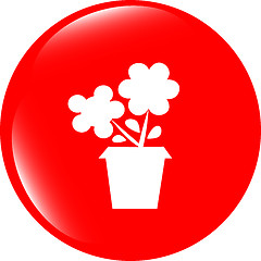 Image showing Flower web buttons for website or app isolated on white