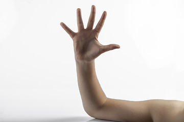 Image showing Young hand make 5 fingers gesture
