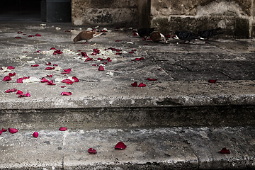 Image showing rose petals and rice grains on a staircase