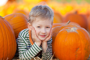 Image showing boy at pumpkin patch