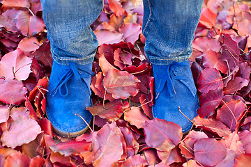 Image showing suede boots in autumn leaves