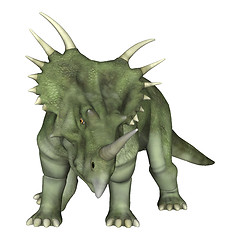 Image showing Dinosaur Styracosaurus