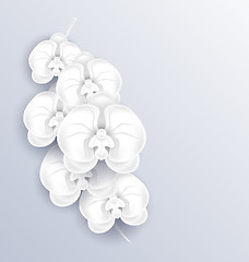 Image showing Brunch of beautiful orchids ,paper craft, template with copy spa