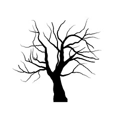 Image showing Sketch of dead tree without leaves , isolated on white backgroun