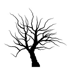 Image showing Sketch of dead tree without leaves , isolated on white backgroun