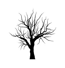 Image showing Sketch of dead tree without leaves , isolated on white backgroun