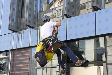 Image showing Climber wash windows