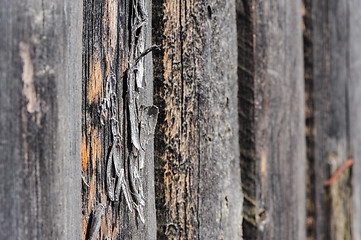 Image showing cracked aged wooden boards