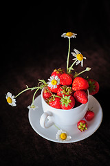 Image showing chamomiles and strawberries in the cup