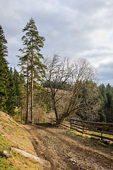 Image showing Dirty road in Carpathian village 