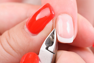 Image showing manicure applying - cutting the cuticle 