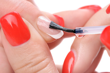 Image showing manicure, applying clear enamel